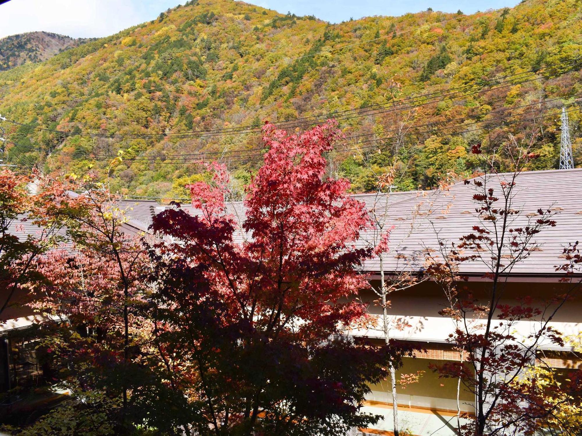 Keiryuso Siorie Hotell Matsumoto Eksteriør bilde